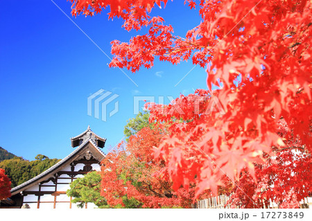 11月京都 天龍寺・庫裏と紅葉 17273849