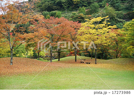 紅葉したダム広場 紅葉したダム広場 17273986