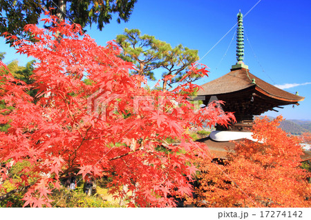 11月京都 常寂光寺・多宝塔と紅葉 11月京都 常寂光寺・多宝塔と紅葉 17274142