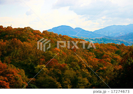 二上山遠景 17274673