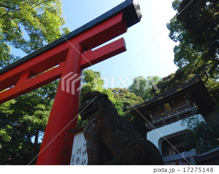 江島神社　朱の鳥居　狛犬　瑞心門 17275148
