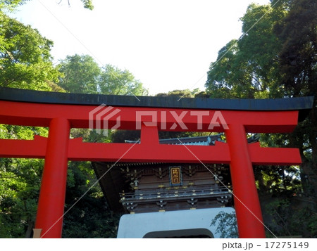 江島神社 朱の鳥居 瑞心門 江島神社 朱の鳥居 瑞心門 17275149