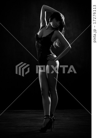 Portrait of young girl in lingerie 17276113