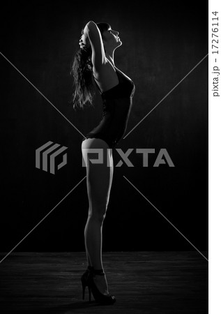 Portrait of young girl in lingerie 17276114