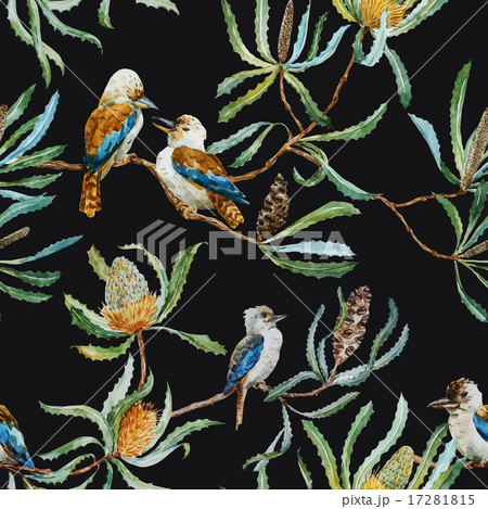 Australian kookaburra bird pattern 17281815