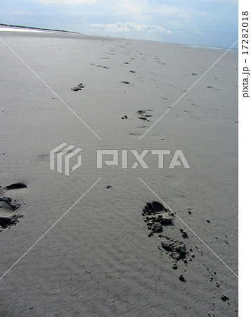 Footprints of a  couple in the sand of the North Sea beach. 17282018