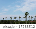 空 17283512
