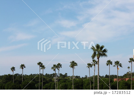 空 17283512
