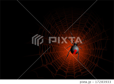 Spider Spider 17283933