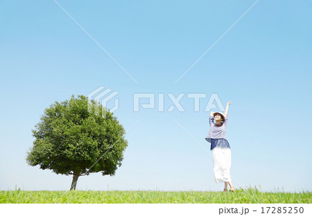 一本木のある原っぱに立つ女性 背伸び 一本木のある原っぱに立つ女性 背伸び 17285250