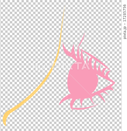 A woman's eyes with a profile A woman's eyes with a profile 17285756