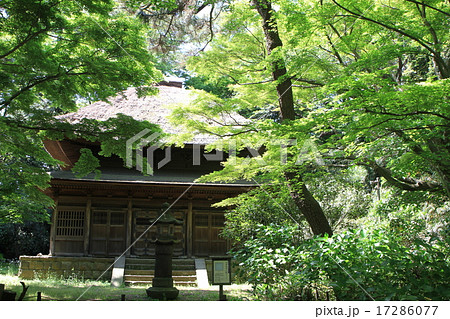 三渓園 三渓園 17286077