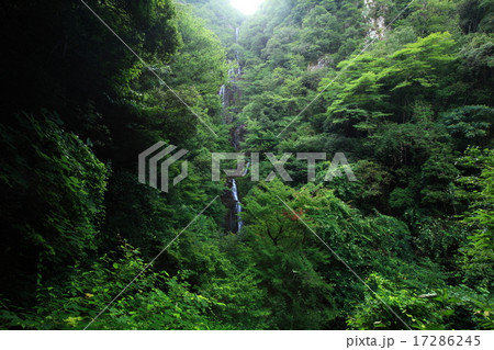 常清滝 常清滝 17286245