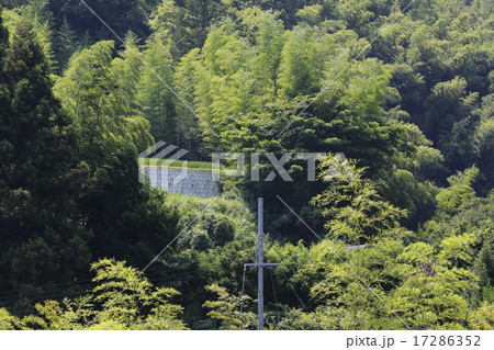 国道309号線　山村 17286352