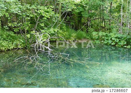 透き通るエメラルドグリーンの湖 17286607