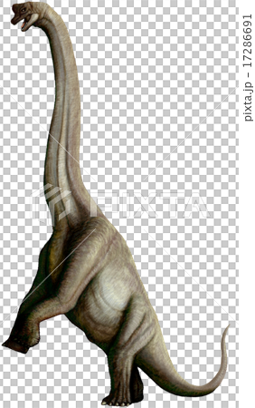 Saulo Poseidon Saulo Poseidon 17286691