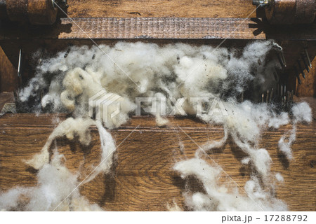 Processing of wool 17288792