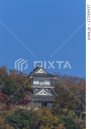 秋の久留里城の復興天守 17289437