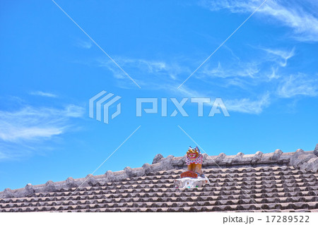 沖縄のシーサー 17289522