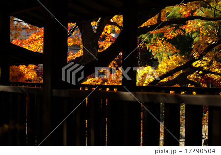 本土寺の紅葉 本土寺の紅葉 17290504
