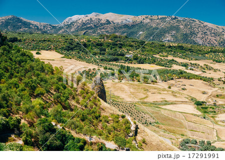 Summer Andalusian Lanscape Near Ronda, Spain 17291991