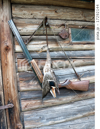 wild duck hunting trophy and a hunting rifle wild duck hunting trophy and a hunting rifle 17292144