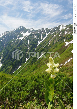 杓子平からの展望（笠ヶ岳方面） 17292858