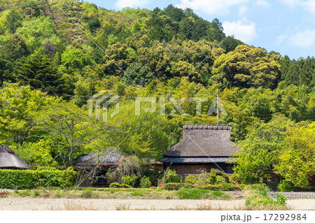 茅葺屋根と新緑 17292984