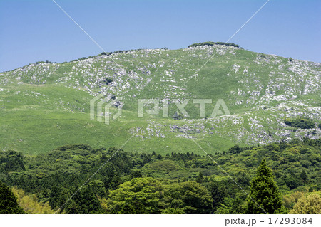 平尾台の岩と山 平尾台の岩と山 17293084