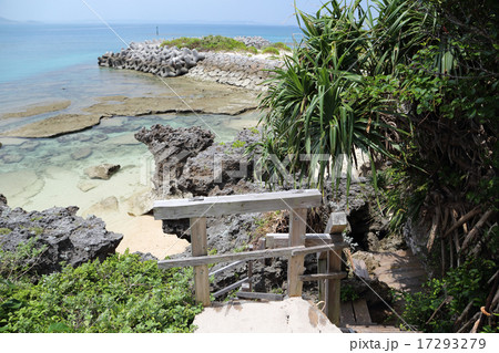 久高島イラブーガマ 久高島イラブーガマ 17293279