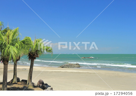 白浜海水浴場 17294056