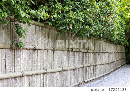 龍安寺 - 鏡容池の生垣 龍安寺 - 鏡容池の生垣 17295123
