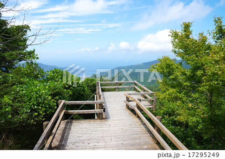 瞽女(ごぜ)展望地より戸田港と駿河湾を望む(静岡県沼津市) 瞽女(ごぜ)展望地より戸田港と駿河湾を望む(静岡県沼津市) 17295249