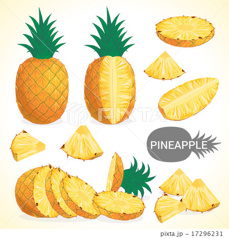 Set of pineapple in various styles vector format Set of pineapple in various styles vector format 17296231