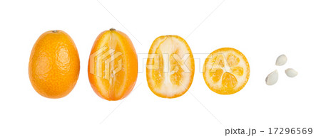 Oval Kumquats With Seeds In A Row Isolated On Whit 17296569