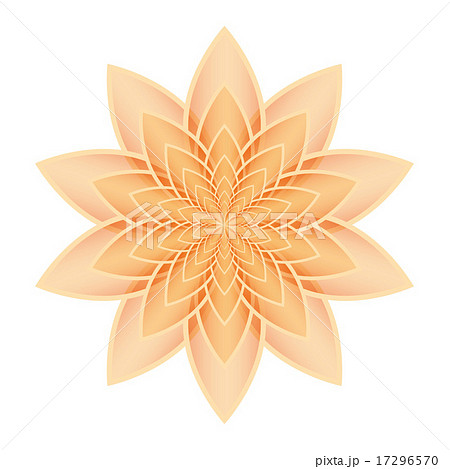 Lotus flower orange 17296570