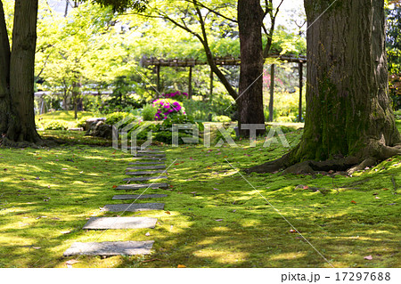 城南宮 - 小径 17297688