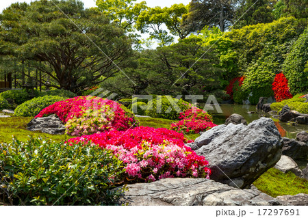 城南宮 - ツツジ 17297691