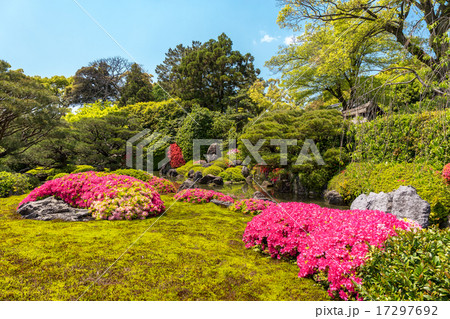 城南宮 - ツツジ 城南宮 - ツツジ 17297692