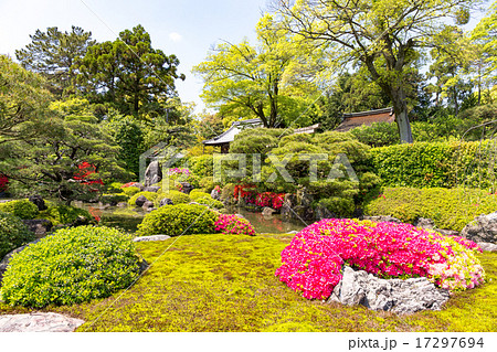 城南宮 - ツツジ 17297694