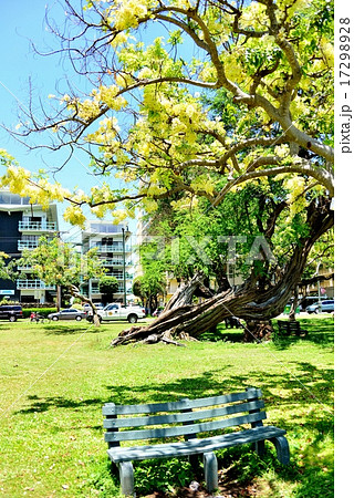 ハワイの休日 ハワイの休日 17298928