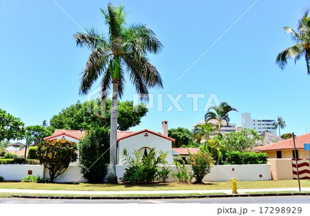 ハワイの休日 17298929