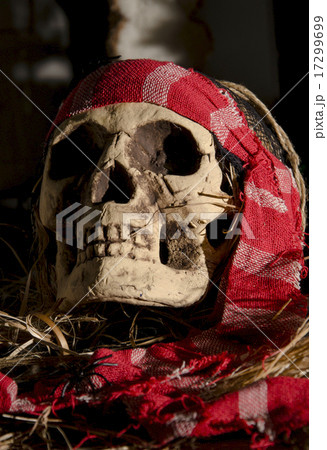 scary skull head 17299699