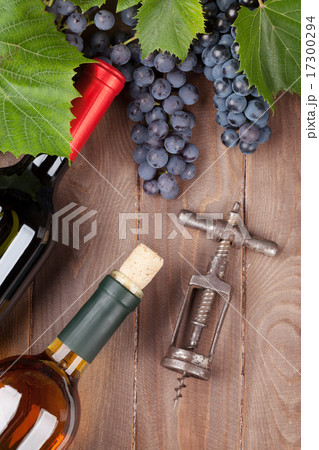 Red grape, wine bottles and corkscrew Red grape, wine bottles and corkscrew 17300294