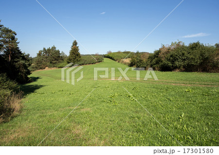 summer rural summer landscape 17301580