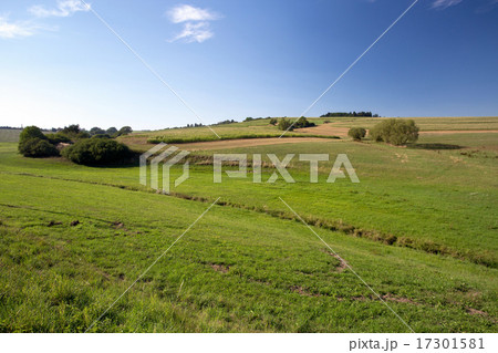 summer rural summer landscape summer rural summer landscape 17301581