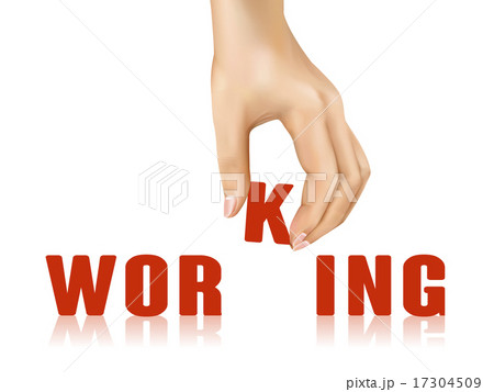 17304509