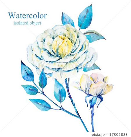 Watercolor vector flowers 17305883