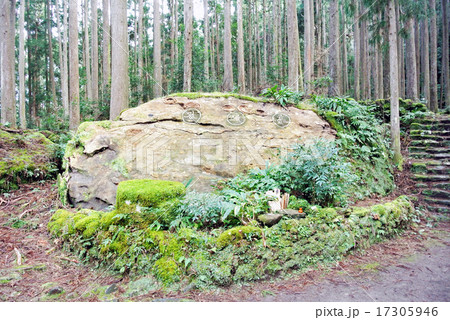 熊野古道　多雲取越　円座石 17305946