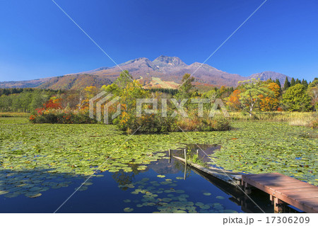 秋のいもり池と妙高山 17306209